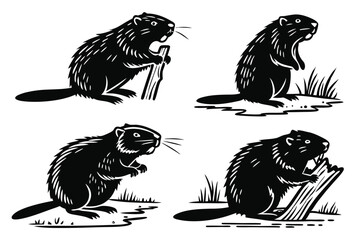 Woodland Majesty: Beaver on a Tree Stump