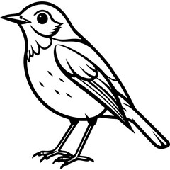 Robin bird simple black line art image, Black bold outline vector icon, Bird vector illustration