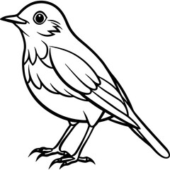 Robin bird simple black line art image, Black bold outline vector icon, Bird vector illustration