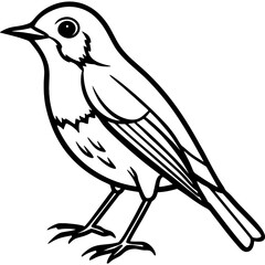 Obraz premium Robin bird simple black line art image, Black bold outline vector icon, Bird vector illustration