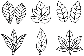 Ginger Leaf Line Art Illustration for Botanical Design Artwork  