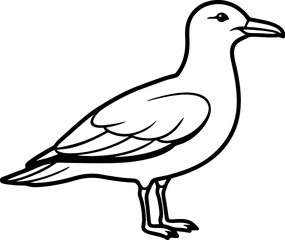 Seagull bird simple black line art image, Black bold outline vector icon, Bird vector illustration