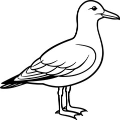 Seagull bird simple black line art image, Black bold outline vector icon, Bird vector illustration