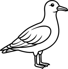 Seagull bird simple black line art image, Black bold outline vector icon, Bird vector illustration