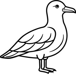 Seagull bird simple black line art image, Black bold outline vector icon, Bird vector illustration