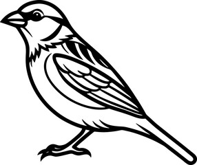 Sparrow bird simple black line art image, Black bold outline vector icon, Bird vector illustration