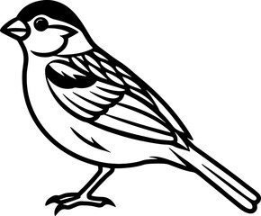 Sparrow bird simple black line art image, Black bold outline vector icon, Bird vector illustration
