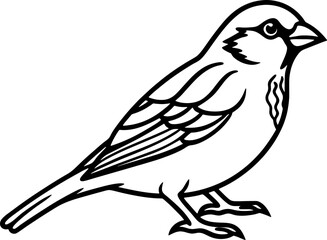 Sparrow bird simple black line art image, Black bold outline vector icon, Bird vector illustration