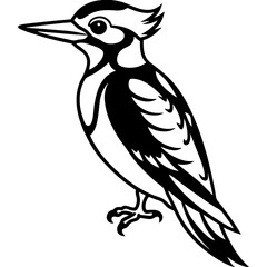 Woodpecker bird simple black line art image, Black bold outline vector icon, Bird vector illustration