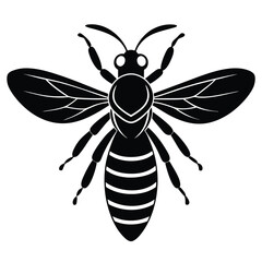 Fototapeta premium Wasp vector silhouette single collection