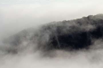 Clouds rolling over the lush forest near Fanal Pond in Madeira