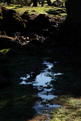 Blue sky and clouds reflecting in a small puddle on the ground.