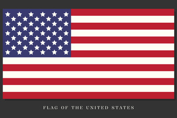 flag of the United States vector illustration.