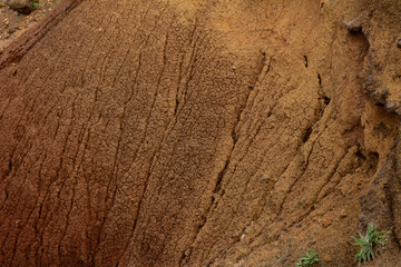 A close-up of a solid red texture found in Madeira, showcasing the rich and vibrant hues of the natural landscape.