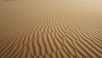 Fototapeta premium Sand patterns left by wind forming balanced dune lines