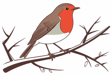 robin on a branch