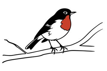 bird on branch