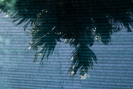A building net set against the backdrop of a tall palm tree. 