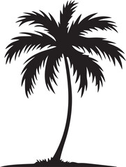 Obraz premium silhouette of palm trees