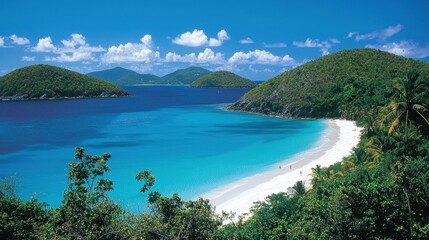 Obraz premium A perfect summer retreat, white sand curving around a vibrant turquoise bay, framed by lush palm trees.