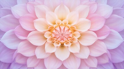 Fototapeta premium Flower wooden board weather. A stunning floral design featuring layered petals in soft pink and cream hues, creating a serene and harmonious visual effect.