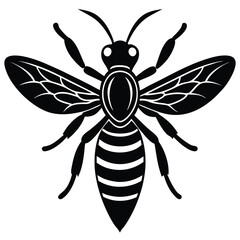 Wasp vector silhouette single collection