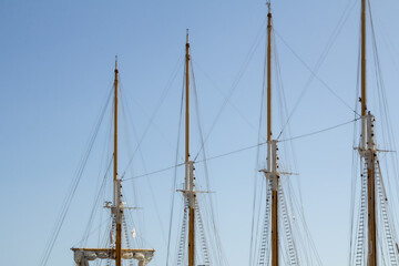 The marina in Funchal is filled with an array of ships' masts, creating a forest of poles against the clear sky. 