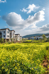 Golden Field of Dreams: A Serene Mustard Landscape Bathed in Sunlight, Epitomizing Warmth and Vitality Amidst a Contrasting Canvas of Lush Green and Radiant Yellow Blossoms