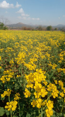 Golden Field of Dreams: A Serene Mustard Landscape Bathed in Sunlight, Epitomizing Warmth and Vitality Amidst a Contrasting Canvas of Lush Green and Radiant Yellow Blossoms