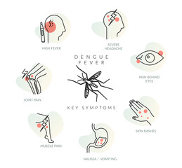 Dengue Fever (DENV) - Key Symptoms - Stock Illustration