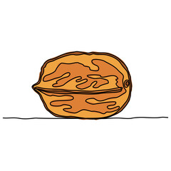 Continuous line drawing. Original image of a whole walnut. Closed walnut shell. Simple color vector illustration isolated on white background.