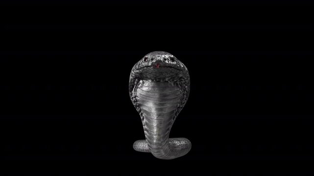 Cobra snake  3d Video Animation