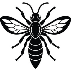 Wasp vector silhouette single collection