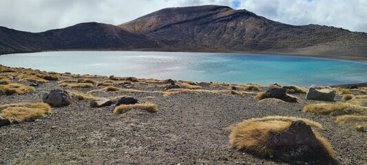 Language, Landscapes, and Life Lessons – My Journey to New Zealand and Australia