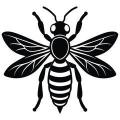 Wasp vector silhouette single collection