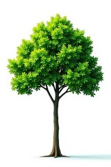 Fototapeta premium Minimalist tree against a clean white background, isolated, white, foliage