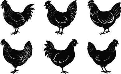 Fototapeta premium Chicken silhouette vector