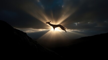 Naklejka premium Silhouette of a dog jumping over mountains