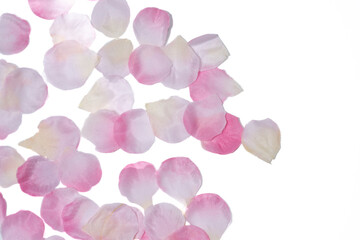 Fototapeta premium Cherry blossom petal background material