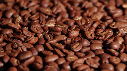 Arabica Coffee Beans Maragogipe on a Black Background. Elephant Beans
