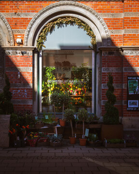 Lund, Sweden - March 16, 2025: Shop window of flower store Blomster af M&aring;ns Hall in downtown Lund Sweden