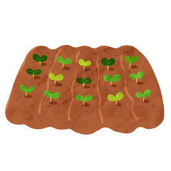 畑から生える双葉　水彩風手描きイラスト