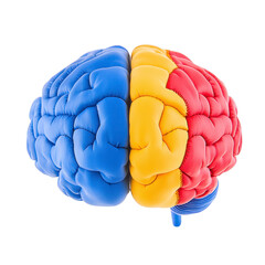 A colorful, segmented brain model with blue, yellow, and red sections, symbolizing creativity and logic. vibrant colors highlight different brain functions