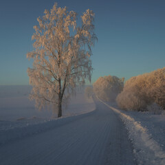 The last rays of the sun in the frosted winter landscape