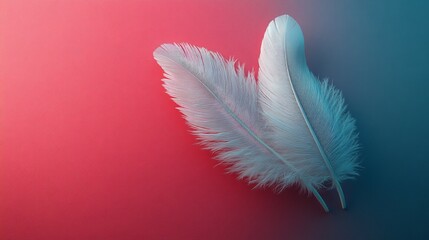 Naklejka premium White feathers on a solid background 
