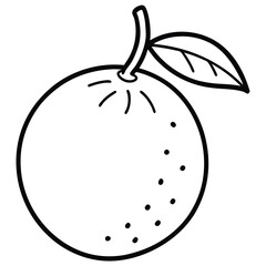 vector illustration of a sweet orange 