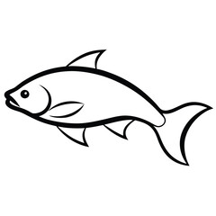 vector illustration of a carp fish