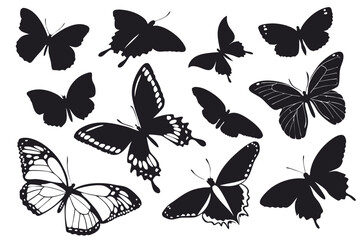 Fototapeta premium Collection of butterfly icons and silhouettes with symmetrical wings and delicate forms, ideal for minimalist visual concepts