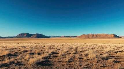 Vast expanse of the Namibian landscape featuring dry grass and clear skies