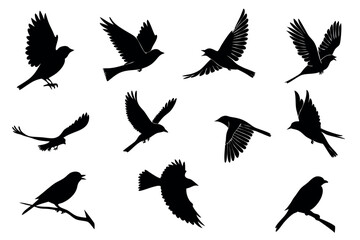 Obraz premium Elegant black and white bird illustrations in flight, perfect for representing nature and tranquility